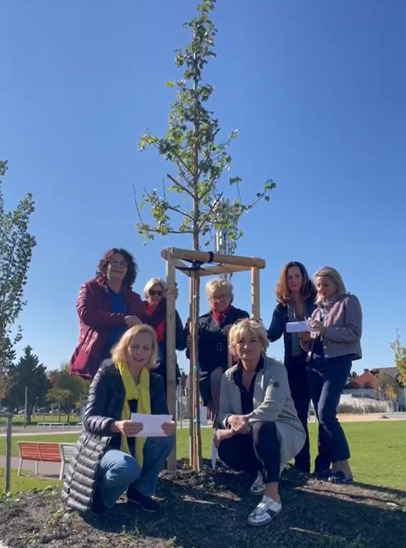 Baumpflanzchallenge 2025